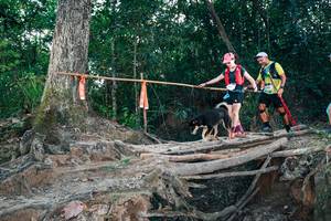 BIB: 
                            <button type="button" onclick="openModal(27312875)" class="btn btn-primary btn-sm float-right btn-popup" data-toggle="modal" data-target=".modal-high-quality">
                        <i class="fas fa-shopping-cart"></i> Add to Cart
                    </button>
                                            <button type="button" onclick="isThisMe(27312875, true)" class="btn btn-success btn-sm float-right btn-popup btn-isme hidden" data-toggle="tooltip" data-placement="bottom" title="นี่คือรูปของคุณใช่ไหม คลิกที่นี่เพื่อเอาเข้าอัลบั้ม">
                        <i class="fas fa-plus"></i> Add to album
                    </button>
                    <button type="button" onclick="isThisMe(27312875, false)" class="btn btn-warning btn-sm float-right btn-popup btn-isnotme hidden">
                        <i class="fas fa-ban"></i> Remove from album
                    </button>